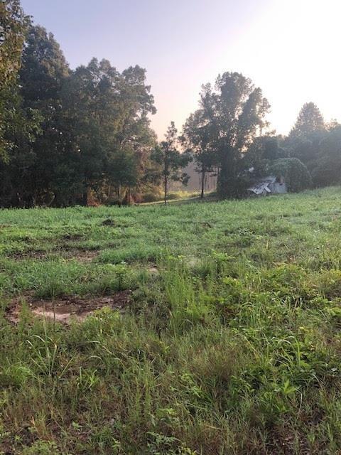 1905 Brickyard Rd, Bowdon, GA 30108 photo 3