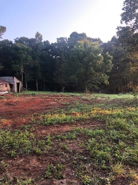 1905 Brickyard Rd, Bowdon, GA 30108 photo 10