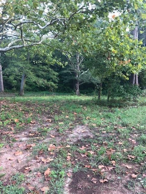 1905 Brickyard Rd, Bowdon, GA 30108 photo 5