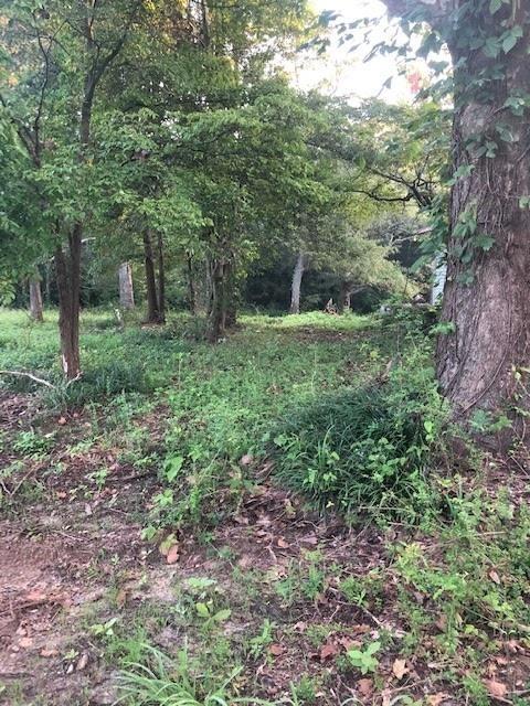 1905 Brickyard Rd, Bowdon, GA 30108 photo 6