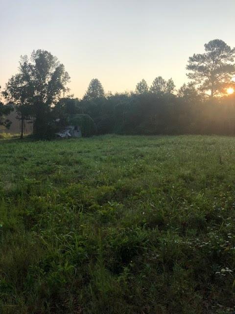 1905 Brickyard Rd, Bowdon, GA 30108 photo 2