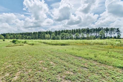 4102 Old Stapleton Rd, Stapleton, GA 30823 photo 24