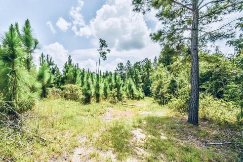4102 Old Stapleton Rd, Stapleton, GA 30823 photo 8