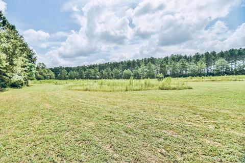 4102 Old Stapleton Rd, Stapleton, GA 30823 photo 4