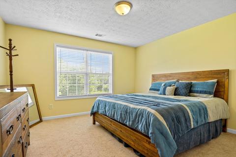 249 Hedgewood Dr, Hampton, GA 30228 photo 20