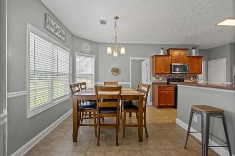 249 Hedgewood Dr, Hampton, GA 30228 photo 11