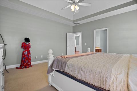 249 Hedgewood Dr, Hampton, GA 30228 photo 30