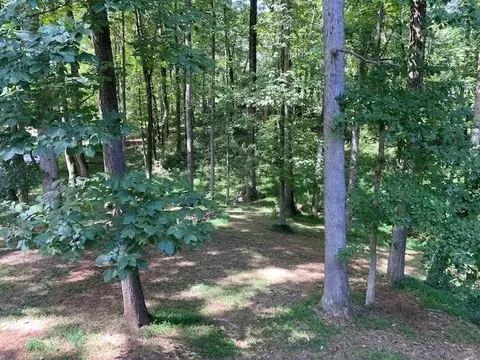 198 Ridgeway Cir, Cornelia, GA 30531 photo 49
