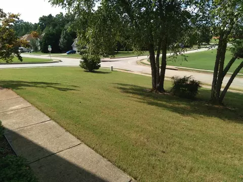 525 Canady Ct, Hampton, GA 30228 photo 14