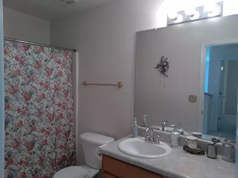 525 Canady Ct, Hampton, GA 30228 photo 54