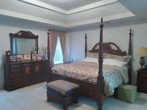 525 Canady Ct, Hampton, GA 30228 photo 40