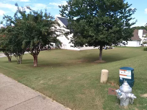 525 Canady Ct, Hampton, GA 30228 photo 9