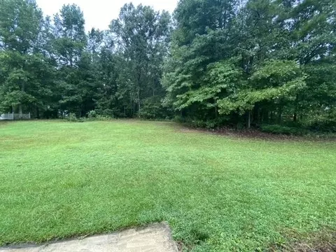 210 Stillwater Ct, Hampton, GA 30228 photo 15