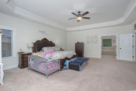270 Shellbark Dr, Mcdonough, GA 30252 photo 28