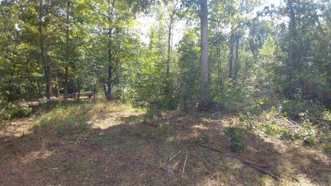 2421 Davis Academy Rd, Madison, GA 30650 photo 3