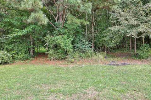 342 Woods Rd, Brooks, GA 30205 photo 11