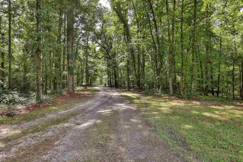 342 Woods Rd, Brooks, GA 30205 photo 3