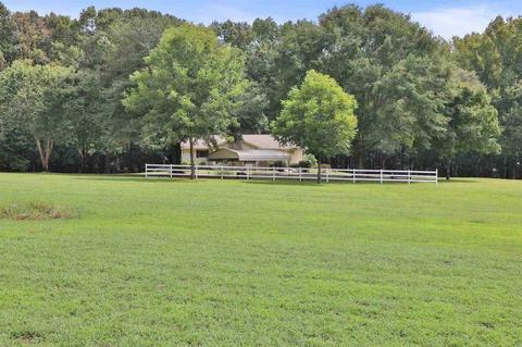 342 Woods Rd, Brooks, GA 30205 photo 8