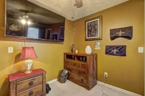 10937 Big Sky Dr, Hampton, GA 30228 photo 19
