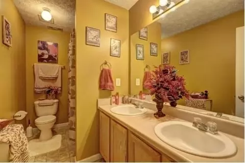 10937 Big Sky Dr, Hampton, GA 30228 photo 16