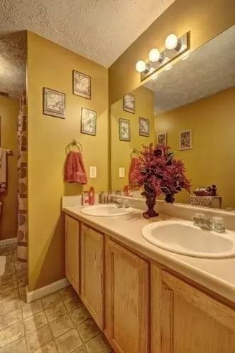 10937 Big Sky Dr, Hampton, GA 30228 photo 17
