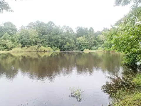 136 Fishers Mill Dr, Mcdonough, GA 30252 photo 31