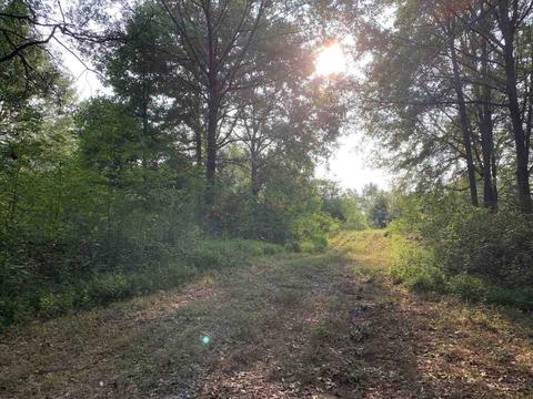 298 Murphy Rd, Lagrange, GA 30240 photo 11