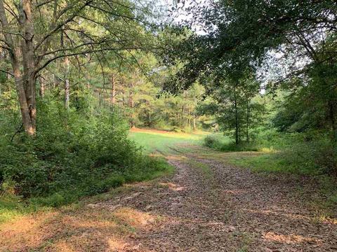 298 Murphy Rd, Lagrange, GA 30240 photo 3