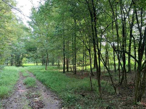 298 Murphy Rd, Lagrange, GA 30240 photo 14