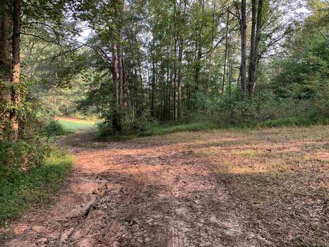 298 Murphy Rd, Lagrange, GA 30240 photo 10