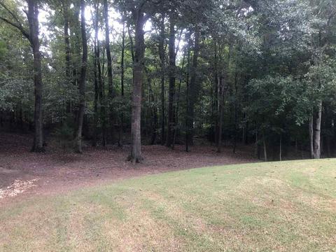 70 Coldwater Way, Covington, GA 30016 photo 36