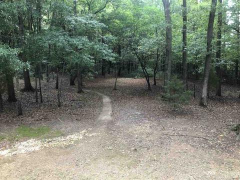 70 Coldwater Way, Covington, GA 30016 photo 35
