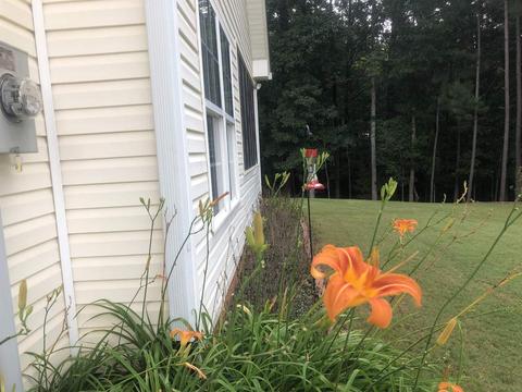 70 Coldwater Way, Covington, GA 30016 photo 29