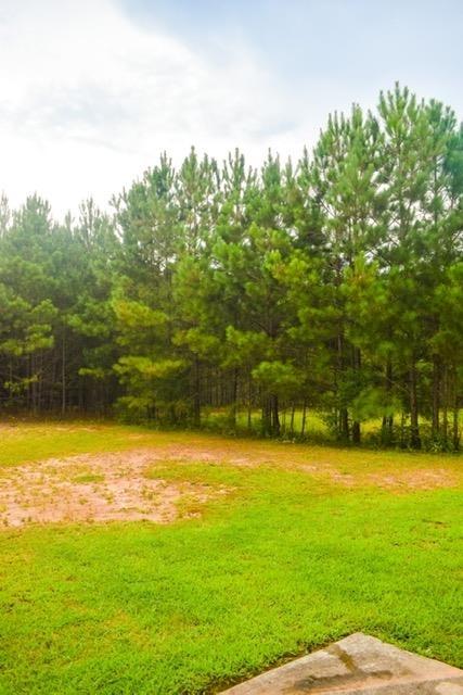 255 Millstone Dr, Hampton, GA 30228 photo 3