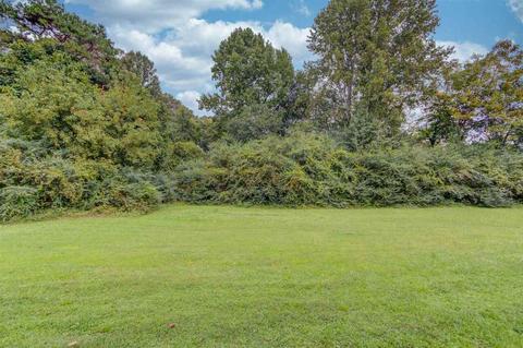 995 Thacker Rd, Clarkesville, GA 30523 photo 29