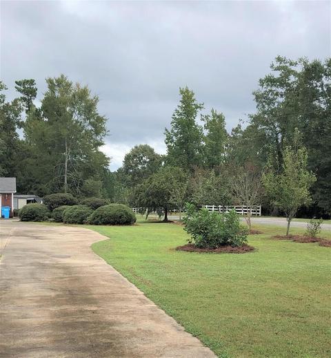101 Wilson Rd, Jackson, GA 30233 photo 28