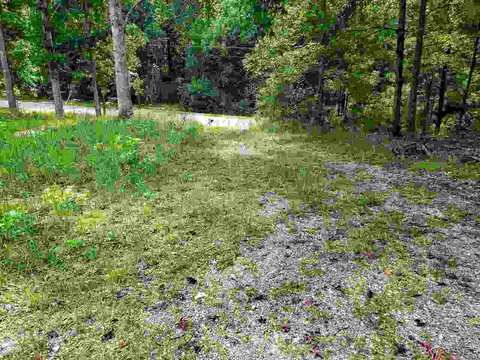 982 Elder Rd, Griffin, GA 30223 photo 6