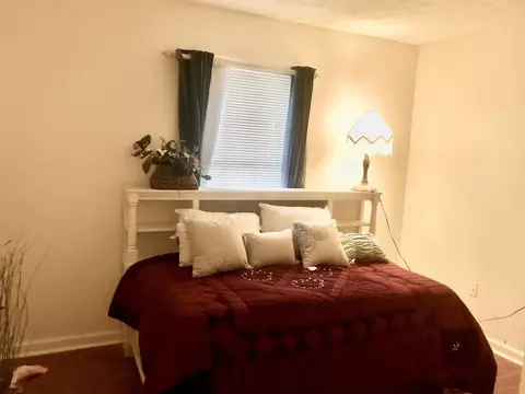 6447 Pinebark Way, Morrow, GA 30260 photo 14