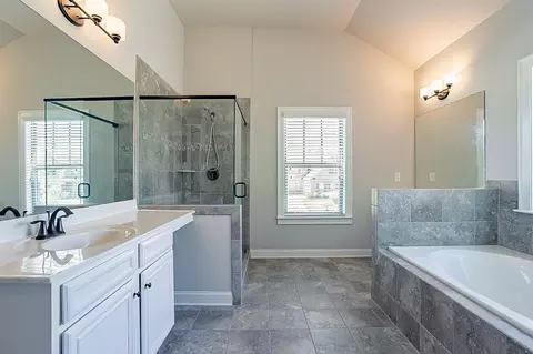 219 Shellbark Dr, Mcdonough, GA 30252 photo 6