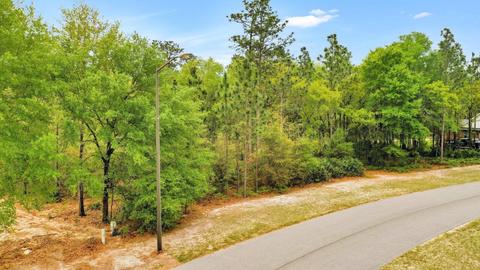 107 Mingledorff, Springfield, GA 31329 photo 12