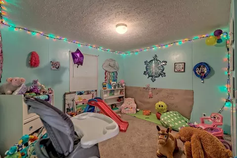 532 Lamb Rd, Dillard, GA 30537 photo 18