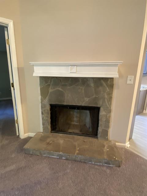 202 Apache Pointe Dr, Senoia, GA 30276 photo 5