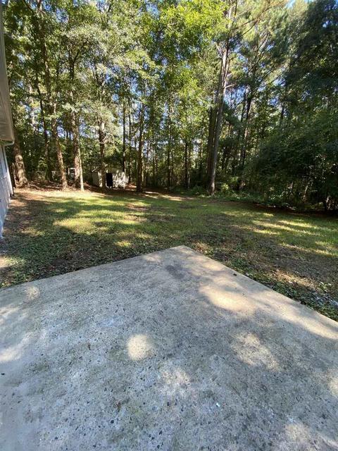 202 Apache Pointe Dr, Senoia, GA 30276 photo 16
