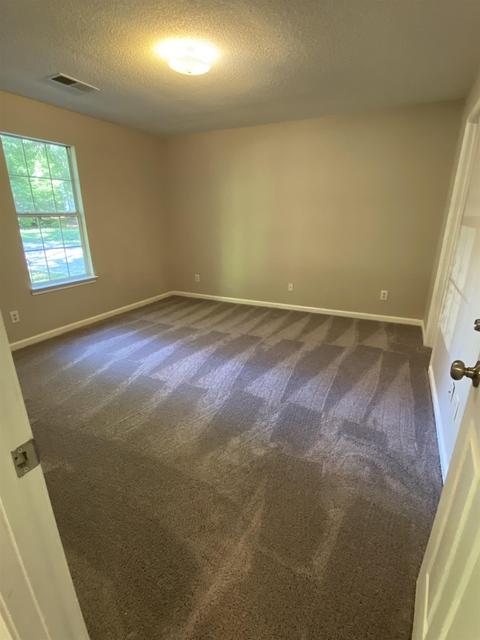 202 Apache Pointe Dr, Senoia, GA 30276 photo 10