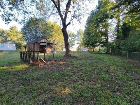 788 Jackson Lake Rd, Jackson, GA 30233 photo 38