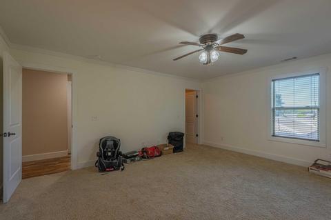711 Park Ave, Baldwin, GA 30511 photo 68
