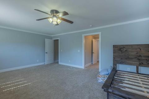 711 Park Ave, Baldwin, GA 30511 photo 80
