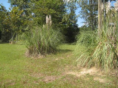 2894 Dixion Rd, Roberta, GA 31078 photo 7