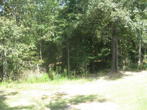 2894 Dixion Rd, Roberta, GA 31078 photo 8