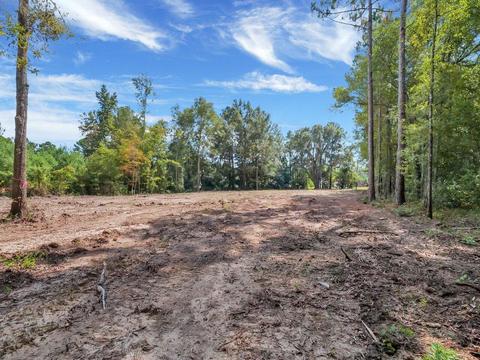 715 Pate Rodgers Rd, Fleming, GA 31309 photo 13
